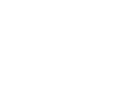 icon-image